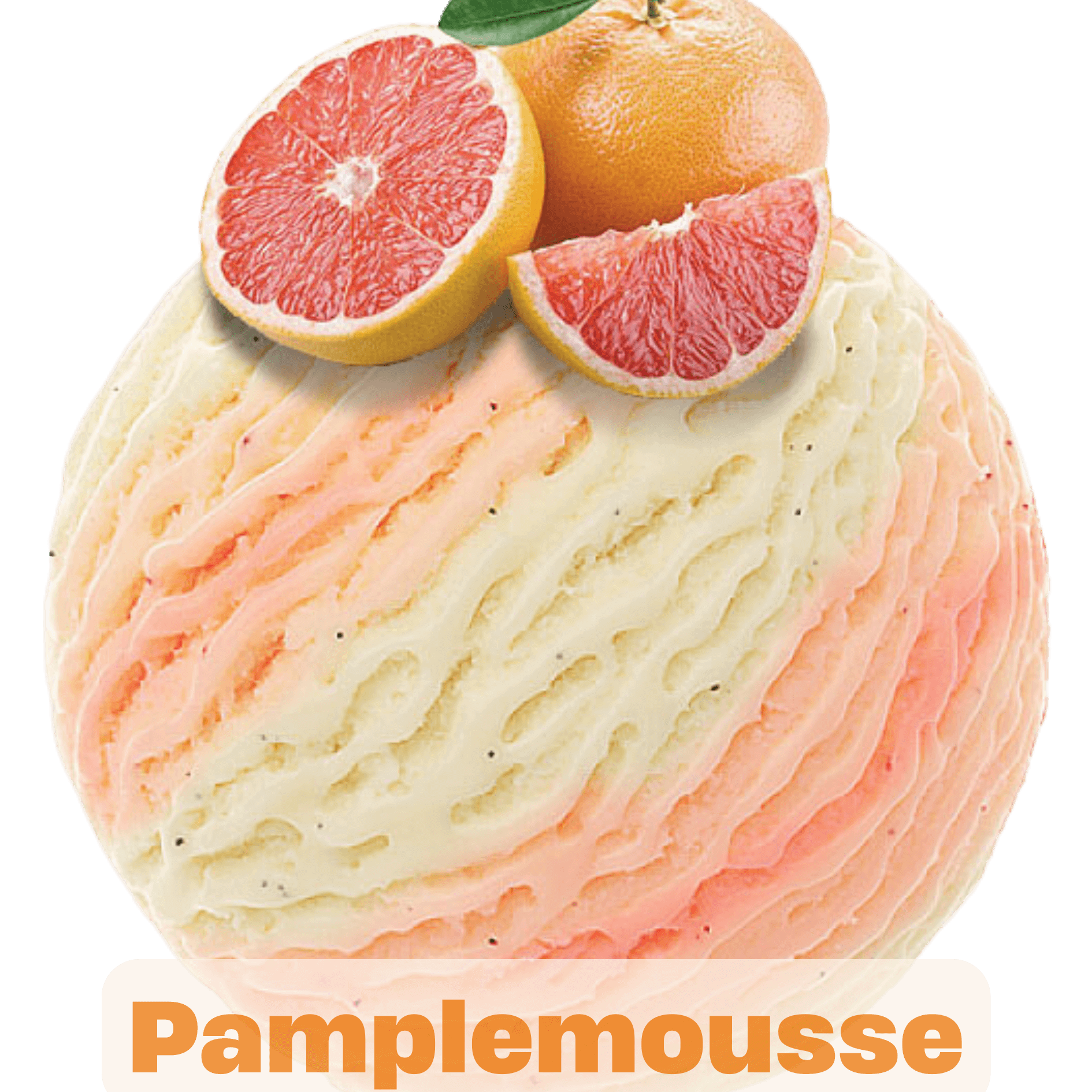 Pamplemousse