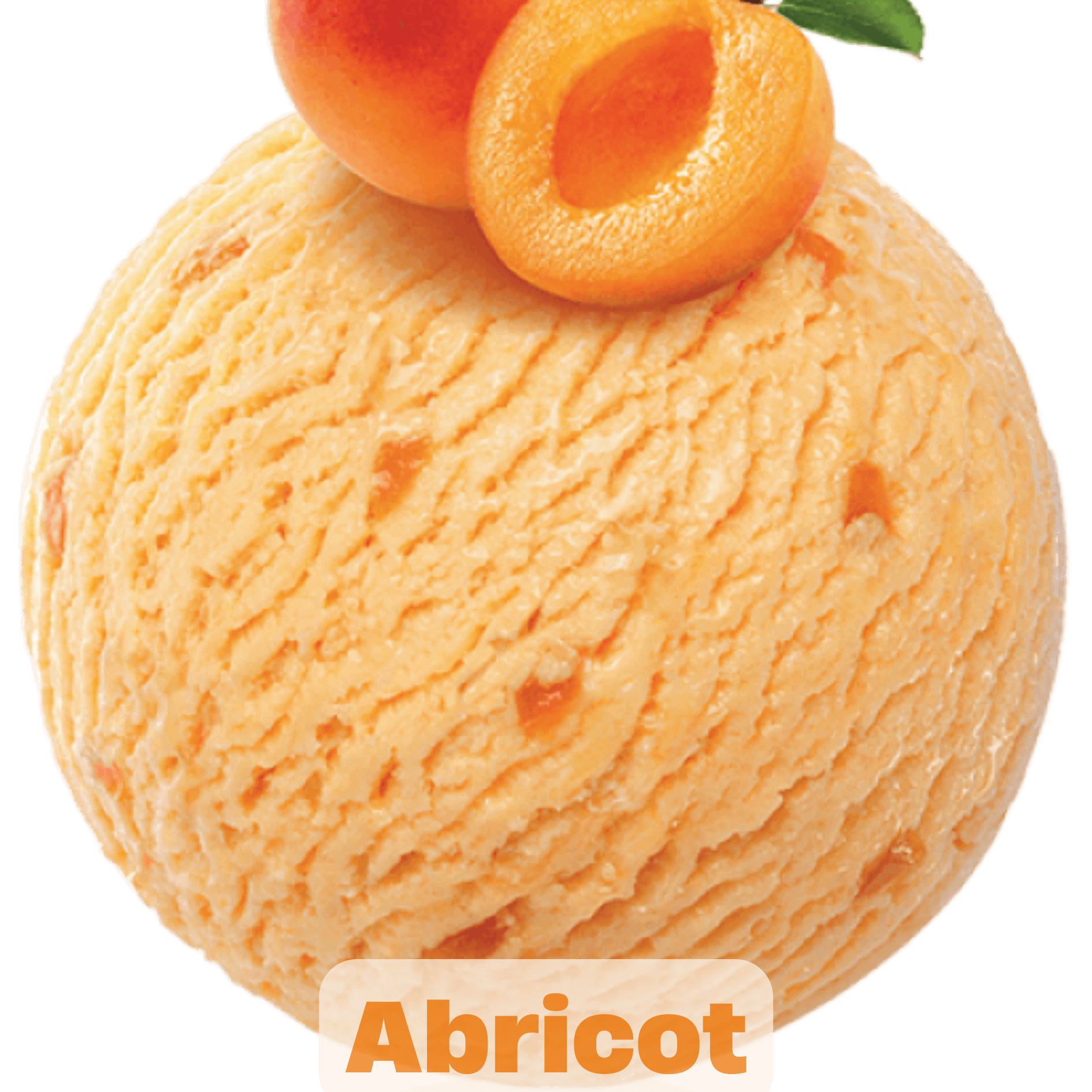 Abricot